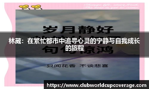 世预赛投注